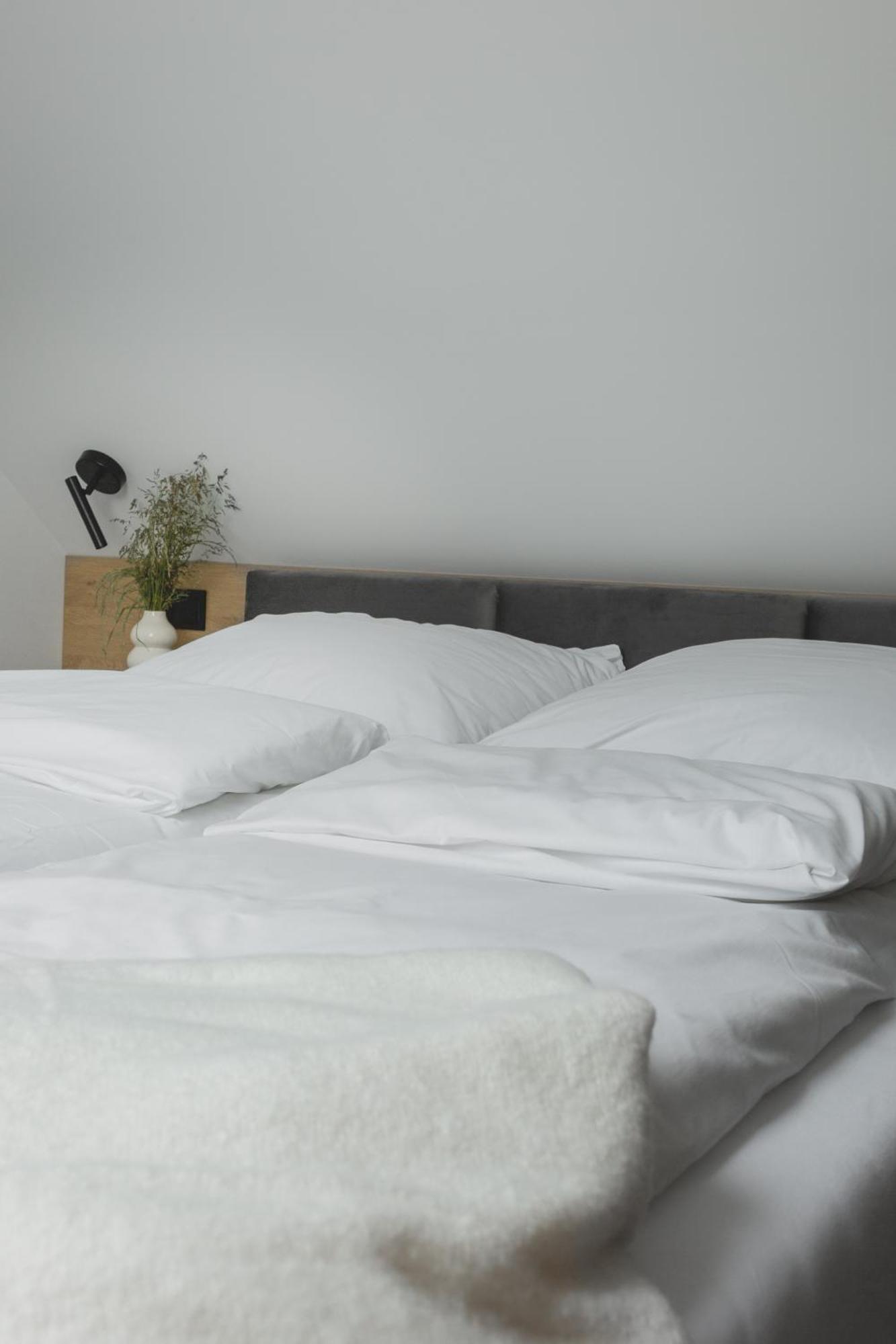 Apartamenty Na Lakach Kudowa-Zdrój Eksteriør billede